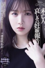 Nonton film SAME-233 Kodratmu Adalah Pelampiasanku!! – Ao Ebisaki